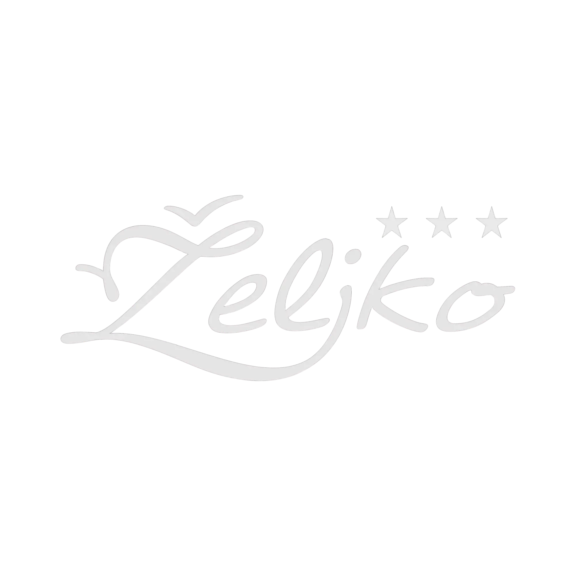 Hotel Željko